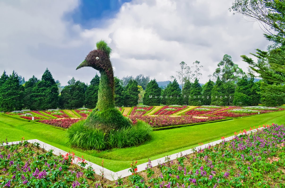 Taman Bunga Nusantara Cianjur